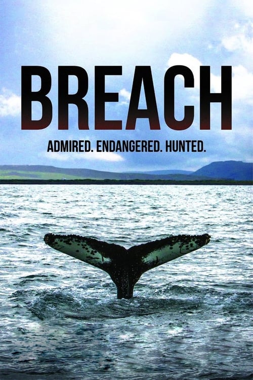 Breach poster