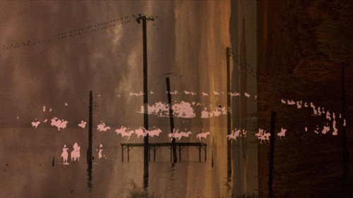 Trouble in the Image