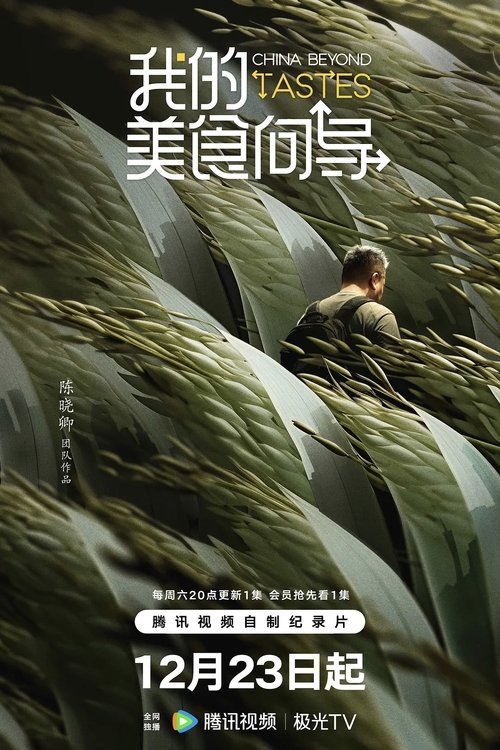 China Beyond Tastes - TV Show Poster