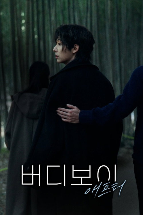 버디보이 Poster Blur