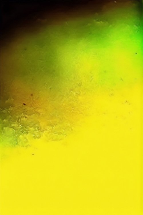 Translation Series (2000) poster