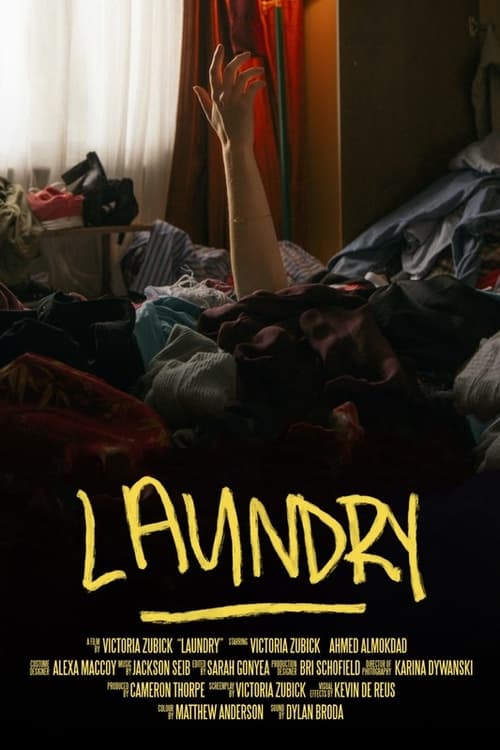 Laundry (2024) poster