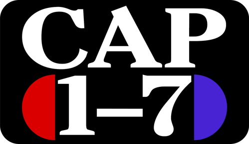 Logo Capsule 1-7