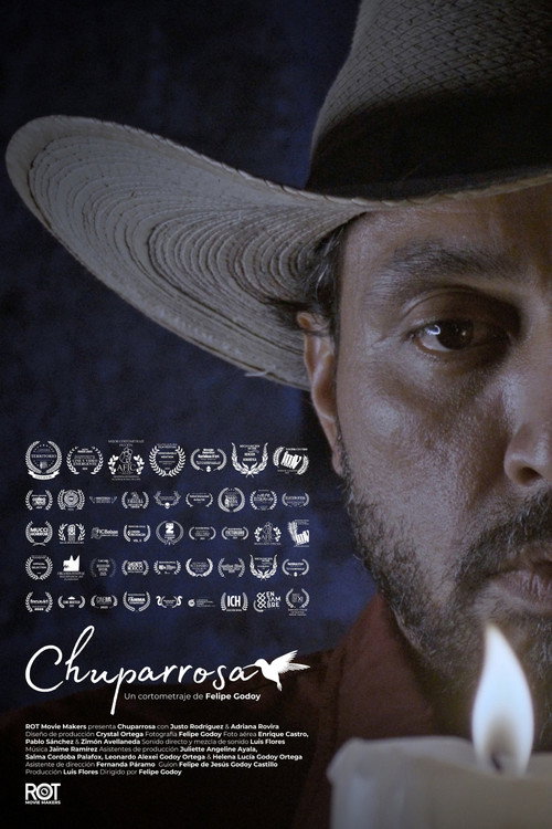 Chuparrosa