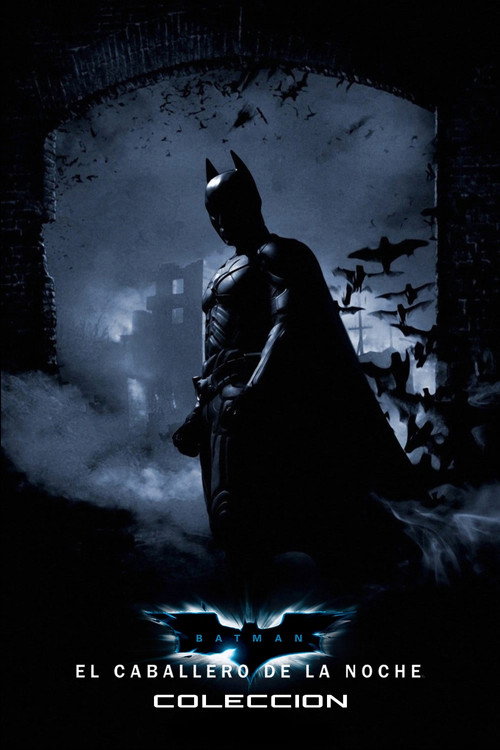 Batman: El caballero de la noche