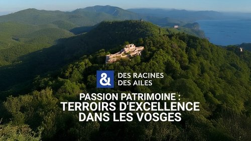 Image de l'épisode 5