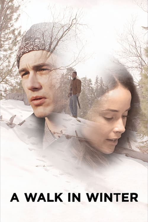 Poster do filme A Walk in Winter