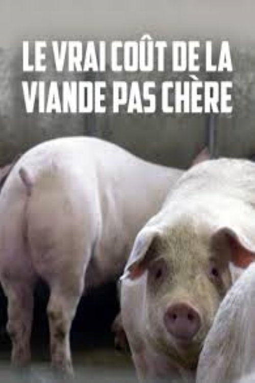Le vrai coût de la viande pas chère movie poster player
