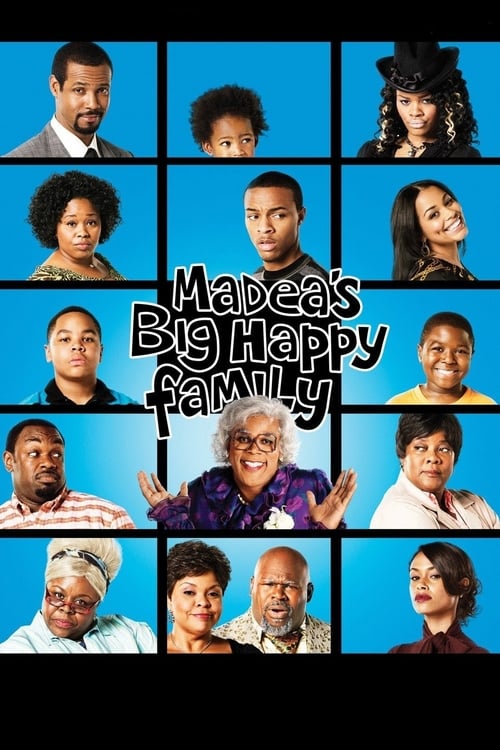 Largescale poster for Madea's Big Happy Family