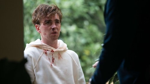 The Man Who Fell to Earth: 1×9