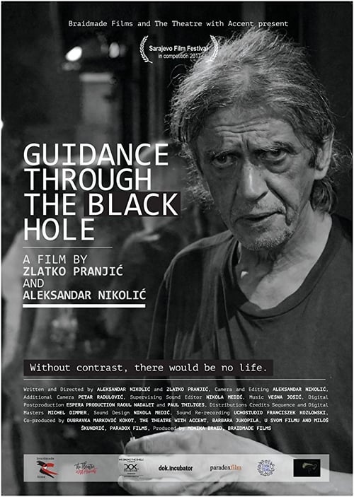Guidance Through the Black Hole Movie Poster Image