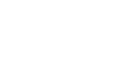 Berlin Station