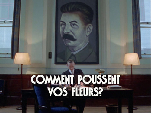 Image Comment poussent donc vos fleurs ?