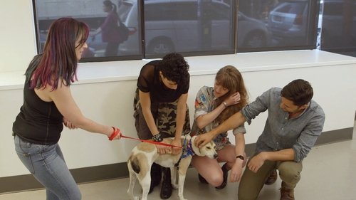 Image de l'épisode 14
