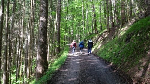 Walking: Miracle Cure for Body and Soul image 1