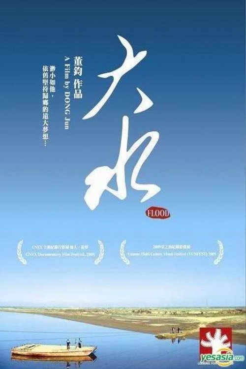 大水 (2008) poster