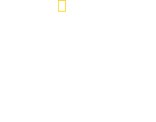 Requin vs Surfeur