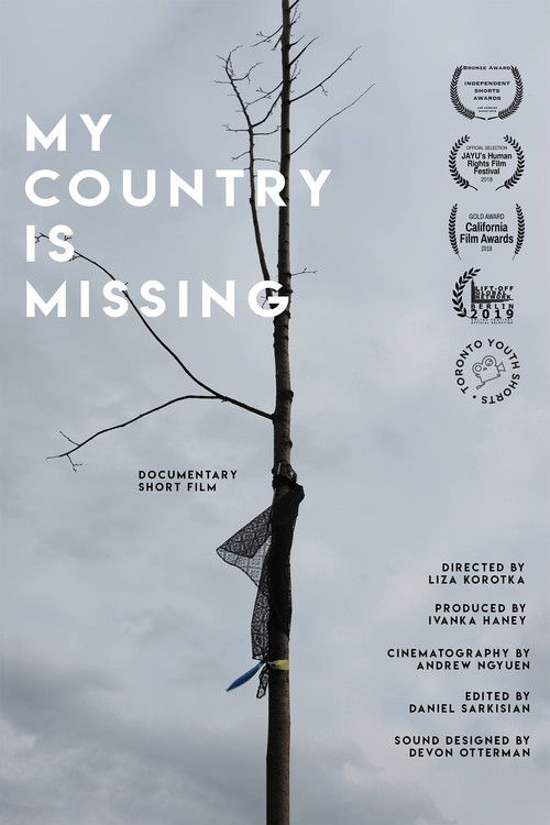 My Country is Missing poster