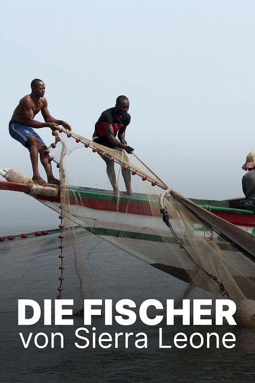 Neue Boote, leere Netze: Die Fischer von Sierra Leone