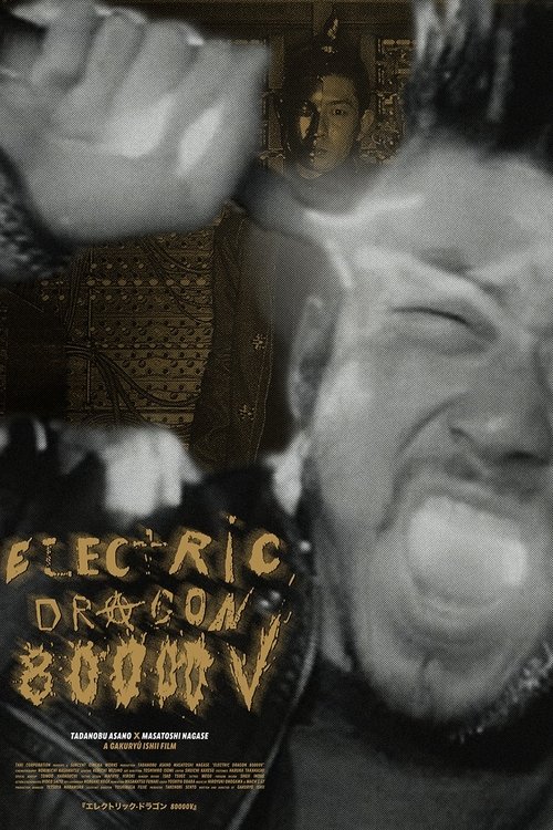 Poster 14