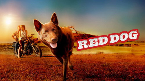 Red Dog