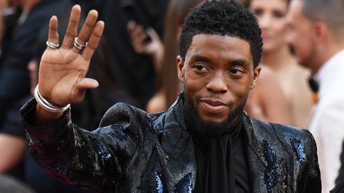 Chadwick Boseman: Portrét umělce