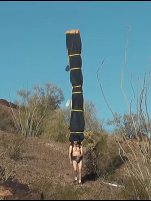 The Flextrek Whipsnake