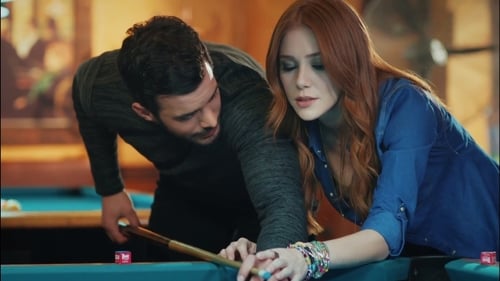 Poster della serie Kiralık Aşk