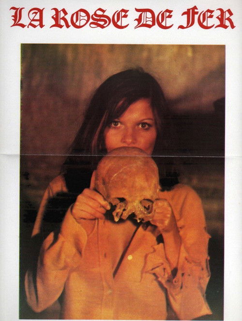 The Iron Rose poster