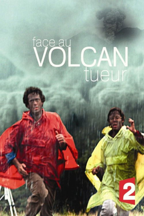 Face au volcan tueur (2011) poster