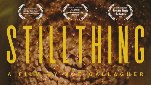 STILLTHING