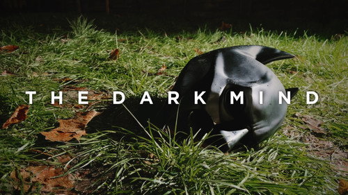 The Dark Mind still