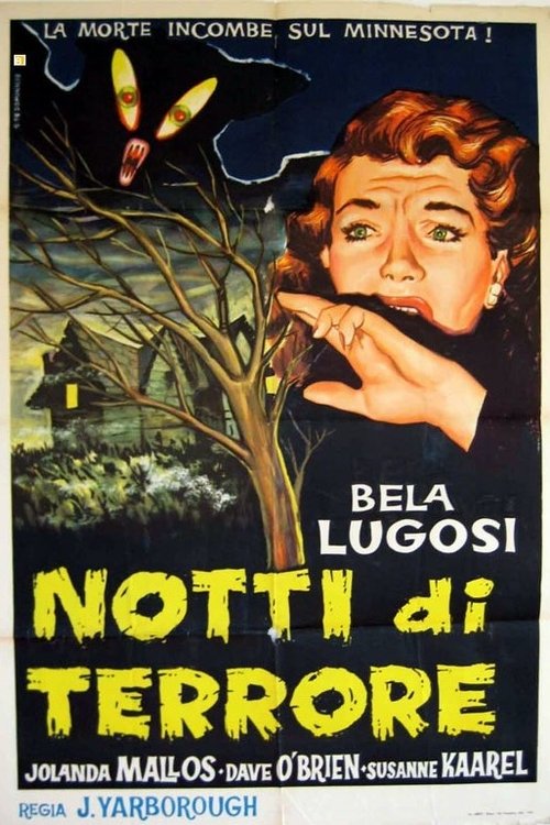 Notti di terrore