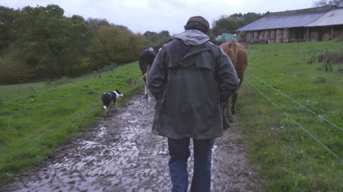 Violence dans les Champs