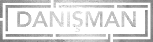 The Consultant logo