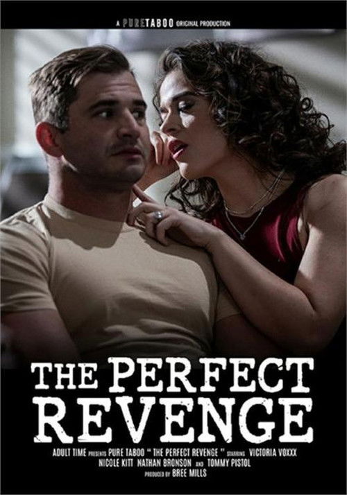 The Perfect Revenge Poster