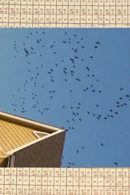 This is How We Dream: We will learn to call ourselves new names