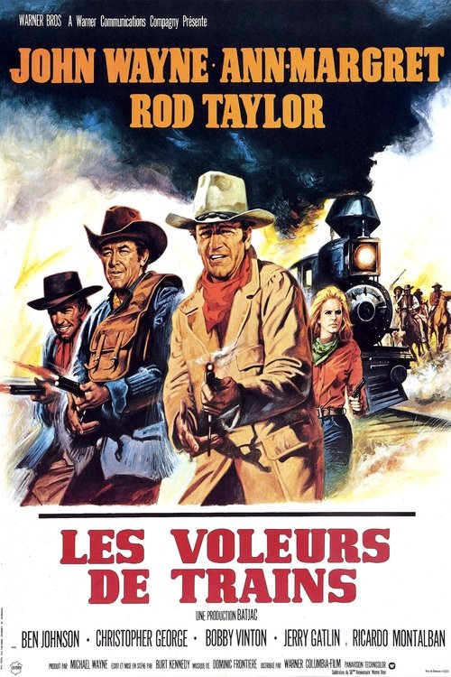 The Train Robbers poster