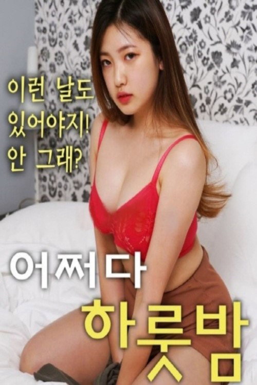 어쩌다 하룻밤 poster