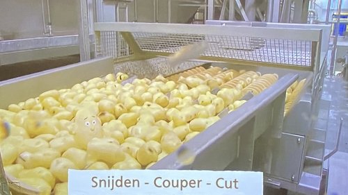 From Potato to Fry! image 2