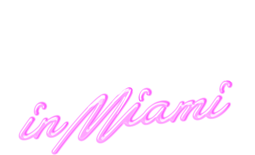 Onze Jongens in Miami