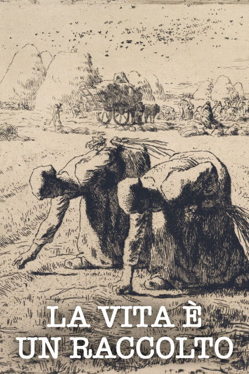 The Gleaners and I poster