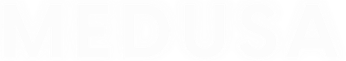 Medusa - Logo 2