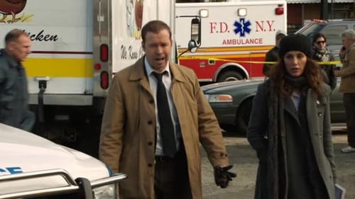 Blue Bloods – Sangue Azul: 2×10