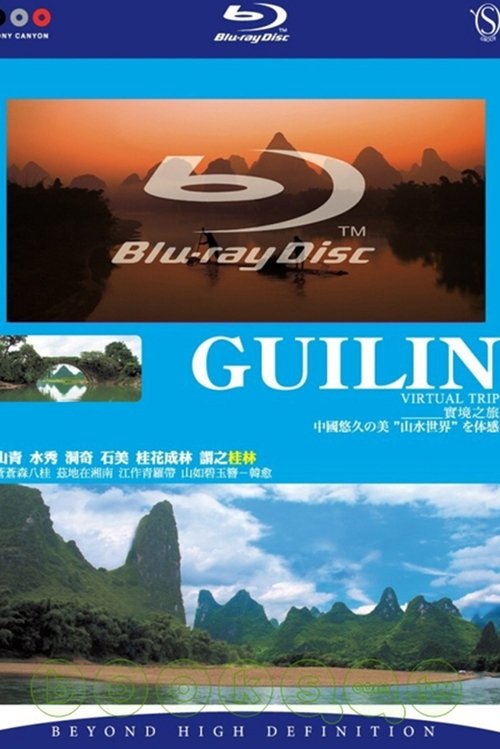 Virtual Trip Guilin movie poster player