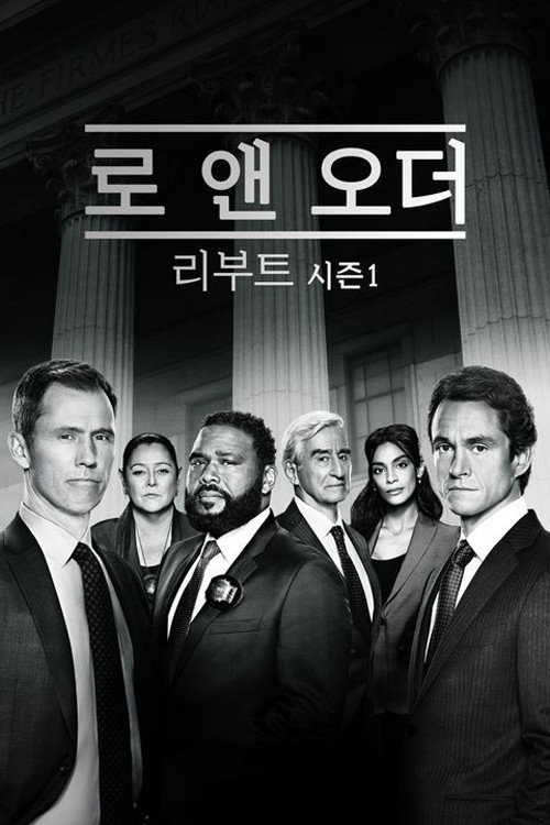 로 앤 오더 시즌 21 포스터