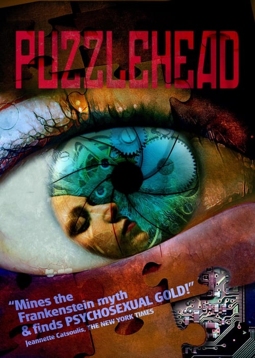 Puzzlehead (2006) poster