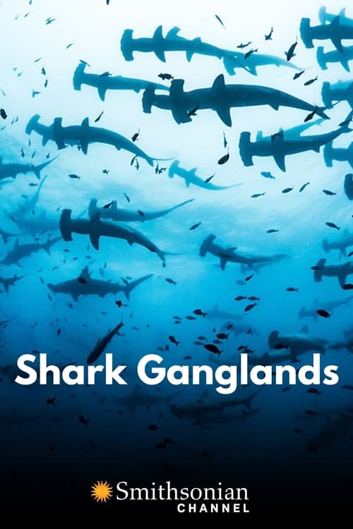 Shark Ganglands poster