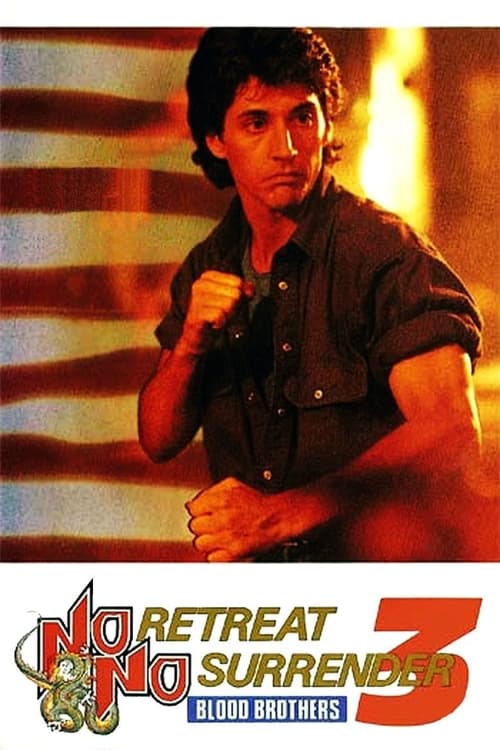 No Retreat, No Surrender 3: Blood Brothers Movie Poster Image