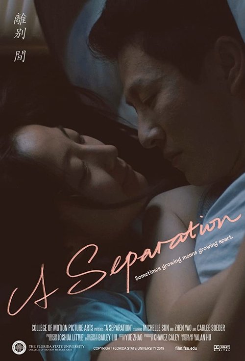 Where to stream A Separation